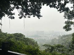 -广州市白云山风景名胜区