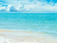 -皇冠幸福里动物奶油生日蛋糕(光谷软件园店)