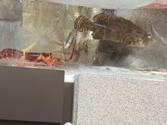 -上和臻品中国菜(花园街店)