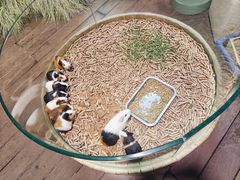 -正佳雨林生态植物园