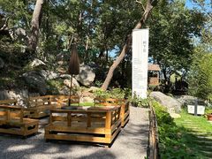 -沂蒙山旅游区云蒙景区(蒙山国家森林公园)