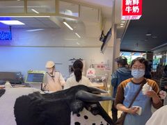 -红星前进面包牛奶公司(君太店)