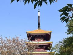 -东湖磨山景区