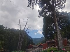 -灵光寺