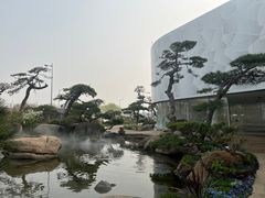 -罗红摄影艺术馆