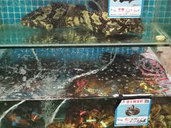 水产区-范饭椰林川湘味海鲜·椰子鸡(三亚湾椰梦长廊店)