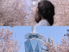 -陕西广播电视塔