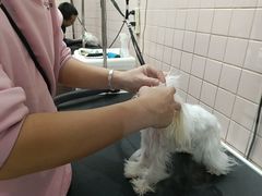 -FAELING PETS美天灵宠物(富力广场店)