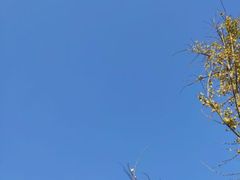 -观唐（国际）度假村温泉