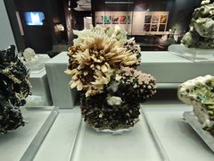 -湖南省地质博物馆