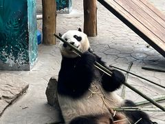 -沈阳森林动物园
