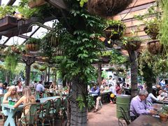 -The Grounds of Alexandria