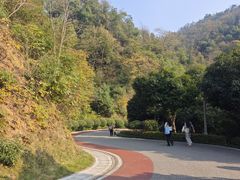-桃花岭景区