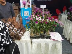 -重庆市江北嘴中央商务区中央公园