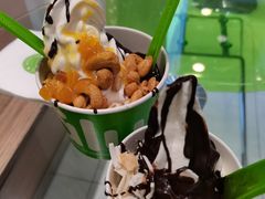 -Salud撒露欧洲冻酸奶(蓝色港湾店)