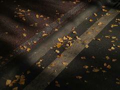 -四川大学(华西校区)