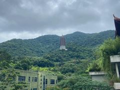 -深圳仙湖植物园