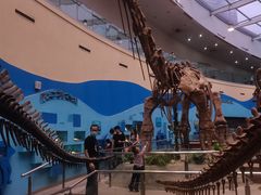 -陕西自然博物馆