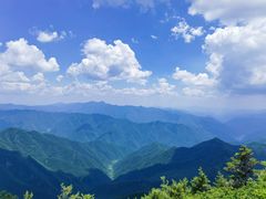 -牛背梁国家森林公园