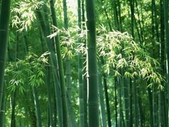 -保利·罗兰香谷