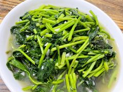 红薯叶-江南古镇味道·私房菜