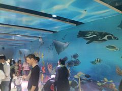 -暹罗海洋世界