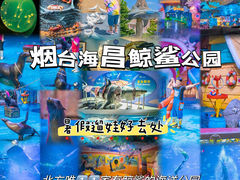 -烟台海昌鲸鲨海洋公园