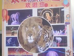 -枫林花海