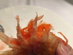 虾上的籽-马克西姆俄罗斯餐厅(通亚街店)