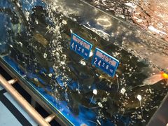 -麦德龙(郑东店)