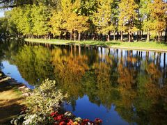 -上海共青森林公园