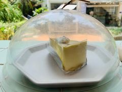 -有猫主题·治愈系猫咖(曾厝垵店)