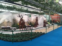 -兰陵国家农业公园