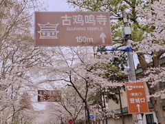 -鸡鸣寺