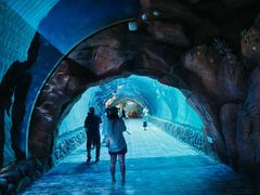 -华夏文旅西安度假区