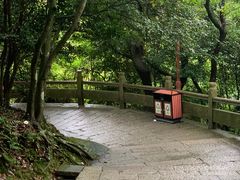 -普陀山风景区-佛顶山