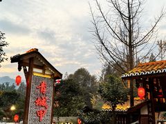 -青城甲(青城山店)