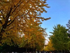 -辽宁大学(崇山校区)