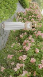 点击看大图 -巴黎婚纱摄影工作室