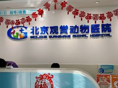 -北京观赏动物医院·24小时大型综合·猫专科·异宠专科