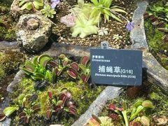 -国家植物园南园