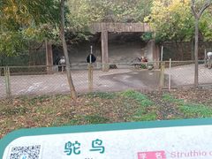 -合肥野生动物园