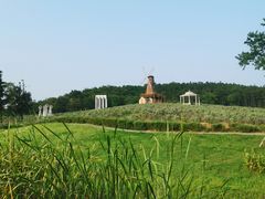 -大塘金香草谷