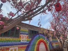 -莱阳濯村樱花园