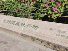 -莲花池公园