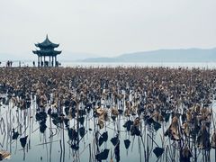 -西湖天地