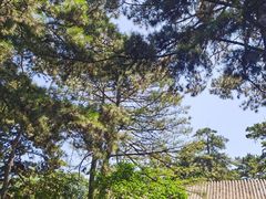 -承德避暑山庄景区