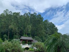 -广州神农草堂中医药博物馆