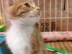 -双季花艺园艺市场(浦东店)