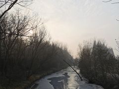 -日照海滨国家森林公园